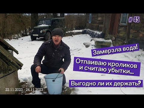 Видео: Замерзла вода! Отпаиваю кроликов и считаю убытки... Выгодно ли их держать?