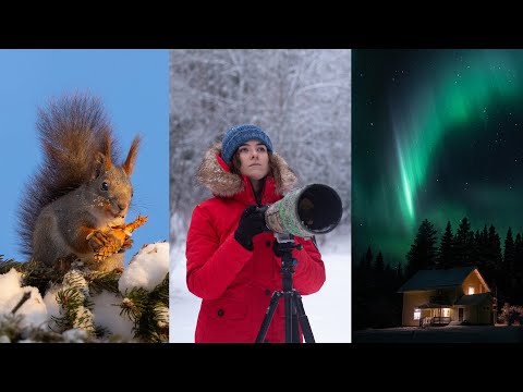 Видео: Самый невероятный момент! Жизнь на севере Швеции