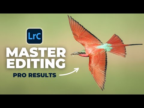 Видео: 7 трюков Lightroom, без которых я не могу жить