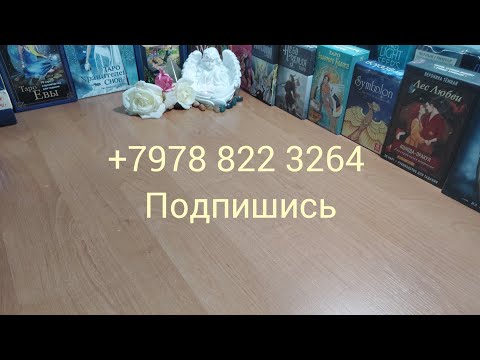 Видео: 🥶Соперница бесится от злости и воет от безисходеости🥶