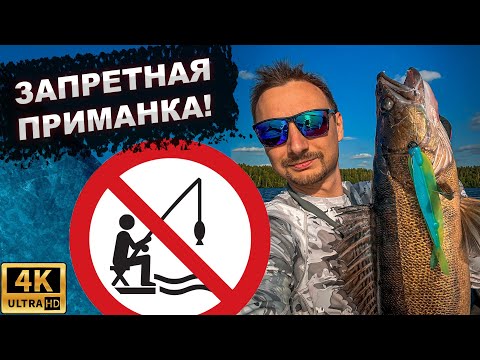Видео: ЭТУ ПРИМАНКУ СКОРО ЗАПРЕТЯТ