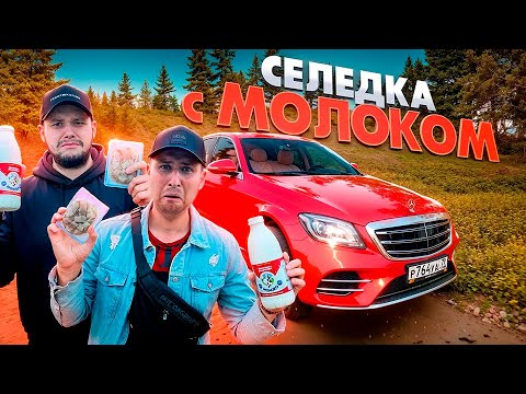 Видео: ГОНКИ НА ЖЕЛАНИЕ ВЕРНУЛИСЬ! КТО ПРОИГРАЕТ БУДЕТ ПИТЬ МОЛОКО с СЕЛЁДКОЙ!