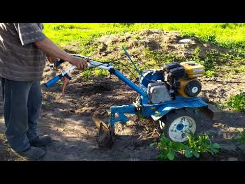 Видео: МБ Нева и Крот, окучивание картофеля