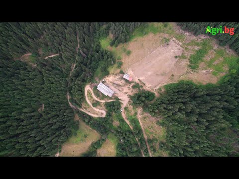 Видео: Фермерски истории от Родопите: Има светлина в тунела и ще я гоним до последно