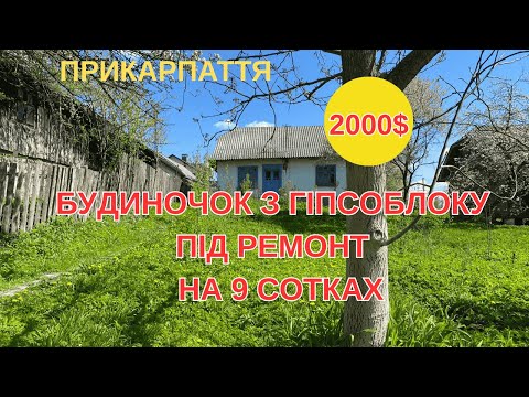 Видео: ДВІ ТИСЯЧІ $   БУДИНОЧОК В ПРИКАРПАТТІ НА 9 СОТКАХ