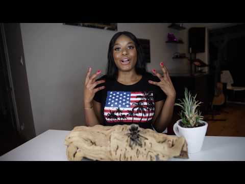 Видео: ВСЁ О МОЁМ КУДРЯВОМ ТАРАНТУЛЕ | ПАУКИ-ТАРАНТУЛЫ В КАЧЕСТВЕ ДОМАШНИХ ЖИВОТНЫХ