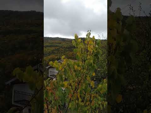 Видео: Есен в с.  Добралък; Autumn in the village of Dobralak;