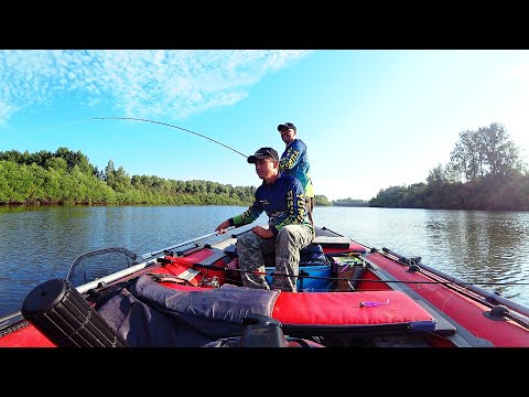 Видео: Судаки, щуки на спиннинг летом в кошмарную жару!!! Отличная рыбалочка получилась