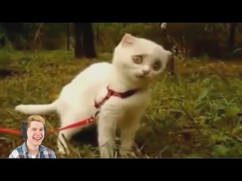 Видео: ТЕСТ НА ПСИХИКУ НЕ СМЕЙСЯ ЧЕЛЛЕНДЖ С ОЧЕНЬ ЯДНЫМ ЛИМОНОМ #6