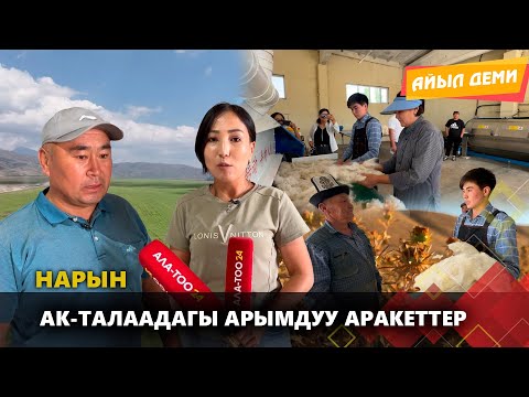 Видео: Ак-Талаада жүн иштетилип,  сафлордон май алынууда // АЙЫЛ ДЕМИ берүүсү
