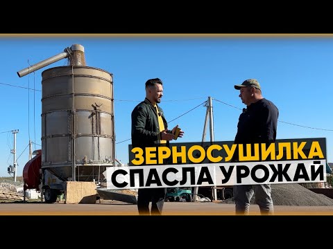 Видео: Как хранить зерно 3 года? Зерносушилка Fratelli Pedrotti. Отзыв главы КФХ.