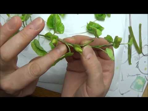 Видео: Мастер Класс Холодный фарфор Вьюнок декоративный с цветами часть вторая МК от Риты