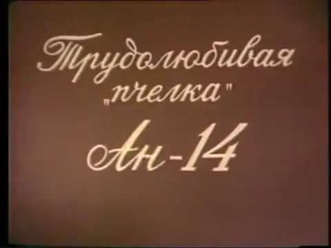 Видео: Трудолюбивая "пчёлка" Ан-14