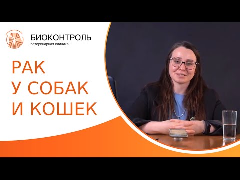 Видео: 🆘 Диагностика, лечение и профилактика рака у собак и кошек. Рак у собак и кошек. Биоконтроль. 18+