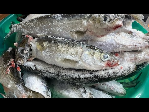 Видео: Рыбалка на омуля 2 серия 5 марта 2024 г.