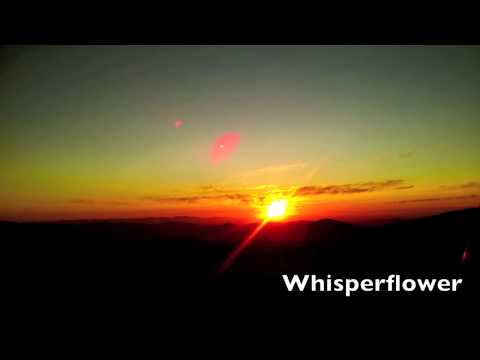 Видео: ASMR Binaural Close-up Russian Whisper - АСМР шёпот на Русском