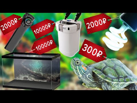 Видео: Какой бюджет содержания красноухих черепах? Сколько стоит оборудование? | ЧЕРИ TV