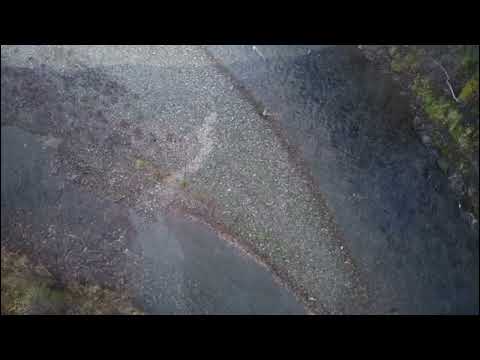 Видео: Рыбалка по хариусу в Кузнецком Алатау