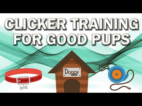Видео: m4a | asmr / гипноз | кликер-дрессировка для хороших щенков!