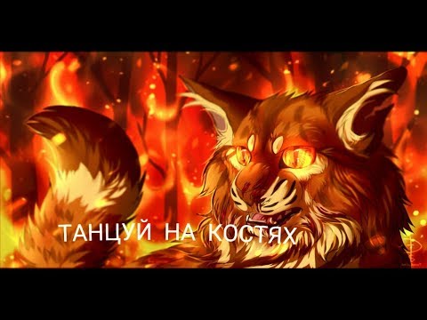 Видео: Звездоцап - Танцуй на костях - клип
