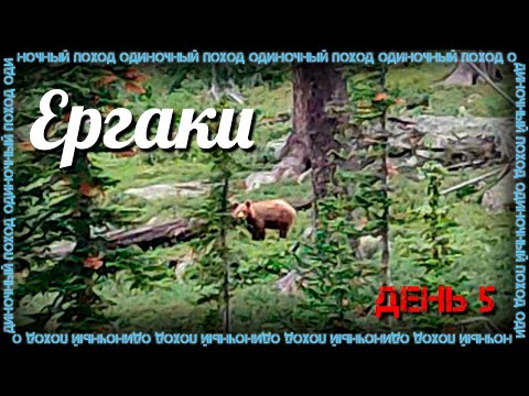Видео: Ергаки | Одиночный поход | День 5 | Медведь | Водопад Богатырь | Водопад Сказка | Перевал Межозёрный