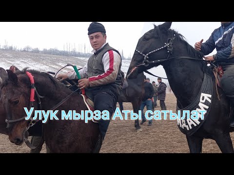 Видео: Балбандар Саны жок Аттарды тамаша кылыныз Аттын баары Ноокатта 2.болум Нойгут Чон улак