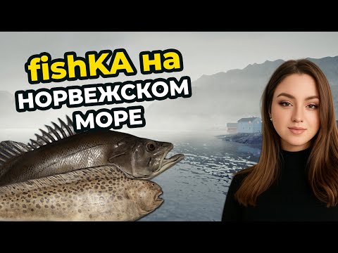 Видео: 🏆 В ПОИСКАХ РЕДКИХ ВИДОВ на НОРВЕЖСКОМ МОРЕ┃Русская Рыбалка 4 (РР4)