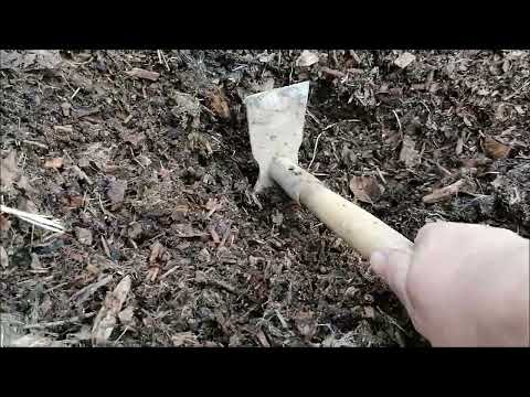 Видео: ГРЯДКИ БЕЗ ПЕРЕКОПКИ И ПРОПОЛКИ