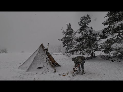 Видео: Горячий поход в палатке с моей собакой в ​​снегу и в морозных зимних условиях