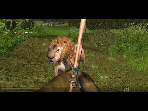Видео: Hunting Unlimited 2010:Тупой лев против тупого охотника.