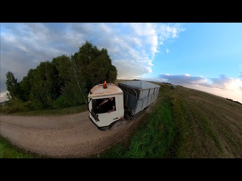 Видео: Уборка озимой пшеницы / Ziemas kviešu kulšana / WHEAT HARVEST ! Из архива 2023!