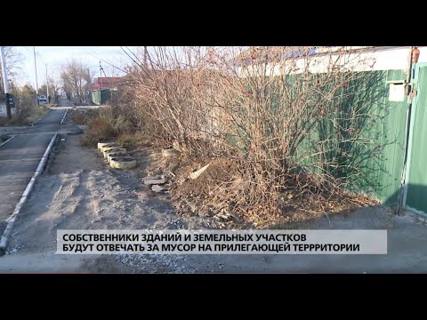 Видео: Собственники зданий и земельных участков ответят за мусор на прилегающей территории