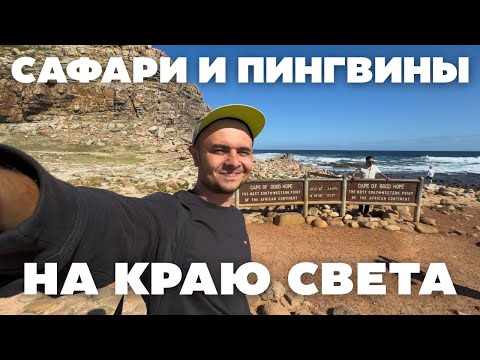 Видео: КЕЙПТАУН: МЫС ДОБРОЙ НАДЕЖДЫ | САФАРИ В АФРИКЕ | ПЛЯЖ С ПИНГВИНАМИ