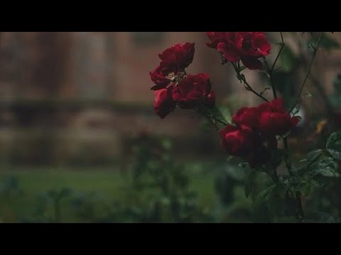 Видео: СТРЕЛЕЦ ♐ - КЕЛТСКИ КРЪСТ
