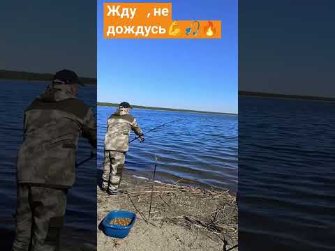 Видео: Хочу Карповича💥🎣🔥