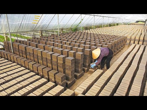 Видео: Вьетнамский стиль! Потрясающее массовое производство кирпича
