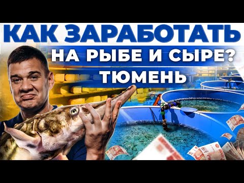 Видео: Как зарабатывают фермеры в Сибири? Сыроварня и рыбный бизнес в селе | Андрей Даниленко в Тюмени