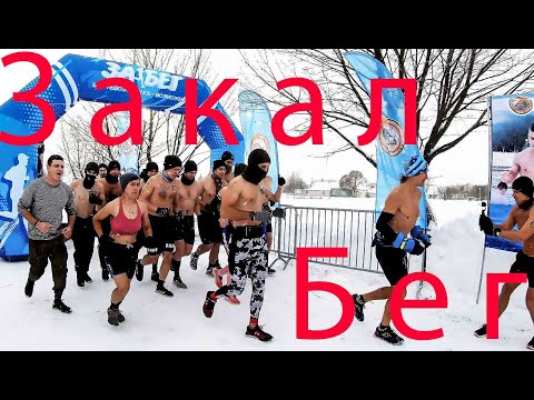 Видео: "Закал-Фест" Клецк 03.12.2023