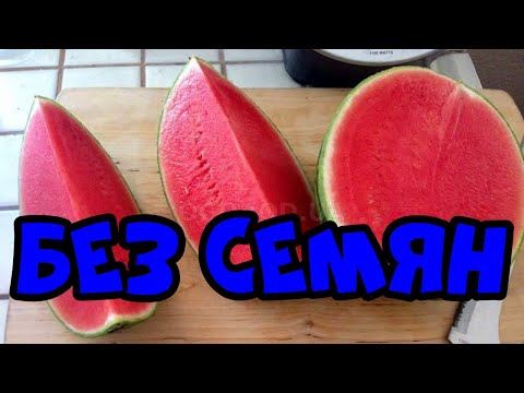 Видео: Бессемянный арбуз. Стоит посмотреть это видео!