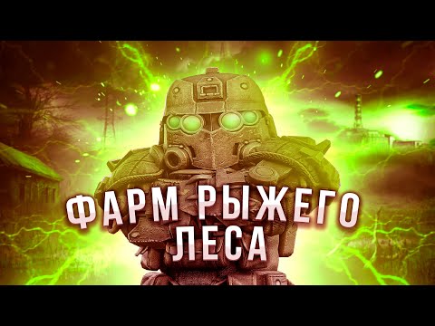 Видео: ФАРМ ДЕНЕГ НА РЫЖЕМ ЛЕСУ, СКОЛЬКО ЗАРАБОТАЕМ ЗА ЧАС? *РОЗЫГРЫШ* STALCRAFT | СТАЛКРАФТ