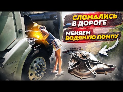 Видео: Сломались в дороге. Меняем водяную помпу. Везем груз для армии США