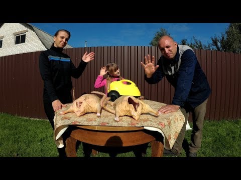 Видео: Парогенератор VS Кипяток//Ощипывание гусей