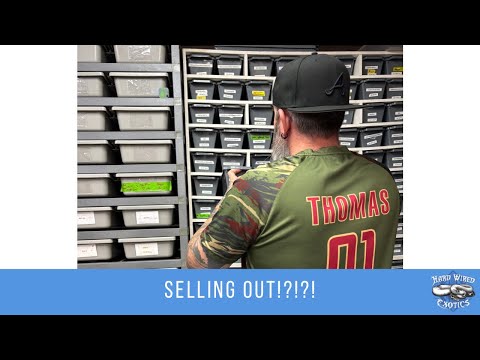 Видео: HWE распродаются!?!?!?