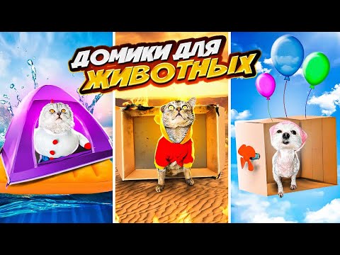 Видео: Строим СЕКРЕТНЫЕ домики для животных: ОГОНЬ, ВОЗДУХ, ВОДА, ЗЕМЛЯ