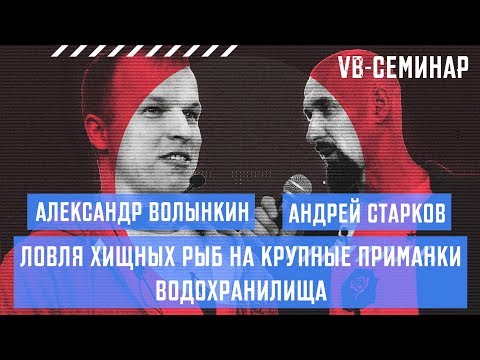 Видео: Александр Волынкин - Ловля хищных рыб на крупные приманки Водохранилища