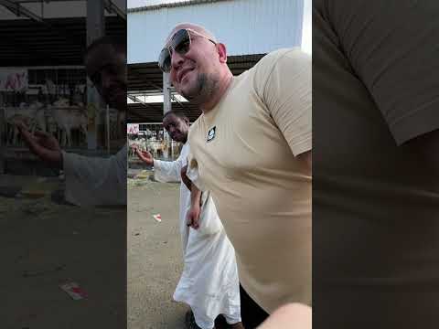 Видео: Меккедегі мал базары