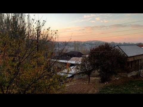 Видео: Шахри истаравшан усто баходур навигари😱#rekomendasi 