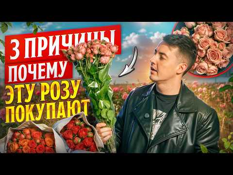 Видео: Почему розы с этой плантации называют лучшими | Плантация Porini, Кения | Цветы оптом