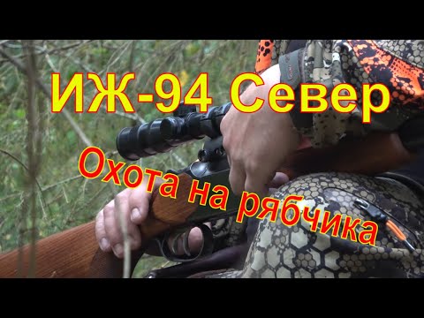 Видео: ИЖ 94 Север Охота на рябчика с мелкашкой #25