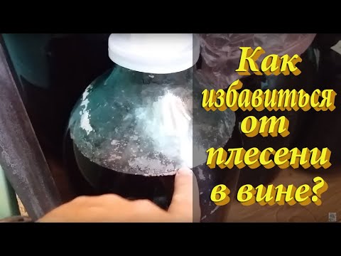 Видео: Как избавиться от плесени в вине? / Молодое вино - убираем плесень!